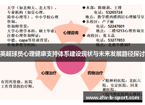 英超球员心理健康支持体系建设现状与未来发展路径探讨